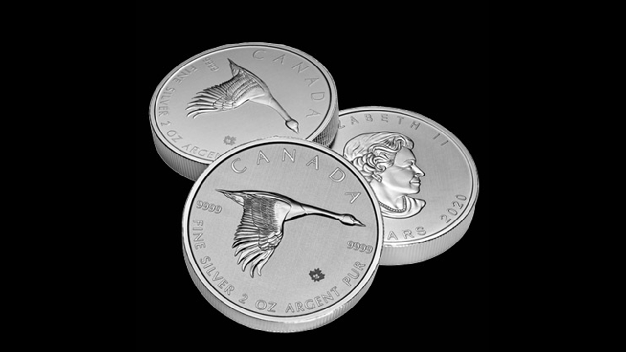 Bullion List Silver 2 oz Canada Goose Silver coin 2020
