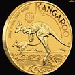 1/2oz Perth Mint Gold Kangaroo Coin 2026 NEW