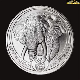 1oz 2020 South Africa Platinum Big Five Elephant 