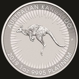 1oz Perth Mint Platinum Kangaroo Coin 2019