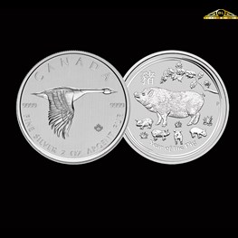 2oz silver (Our Choice)