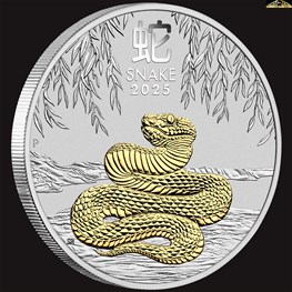 2025 1oz Silver Gilded Snake in Case