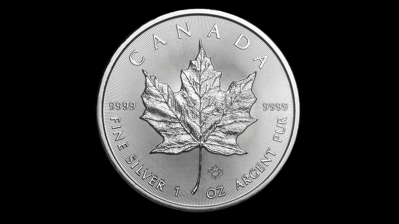silver maple leaf prices