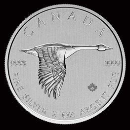 2oz Canada Goose Silver Coin 2020 