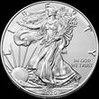 1oz American Silver Eagle 2020 
